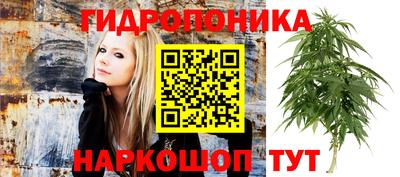 сатива Кулебаки